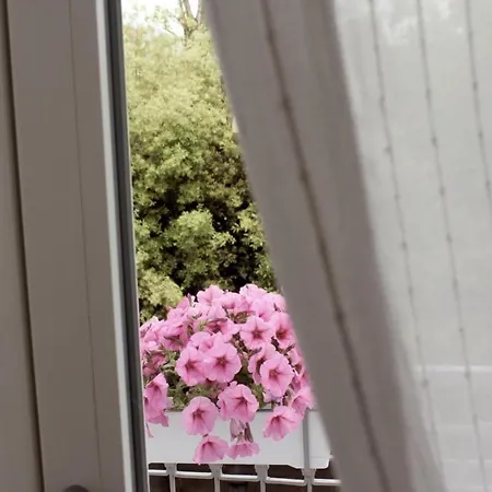 Magma Centotre Daire Pompei