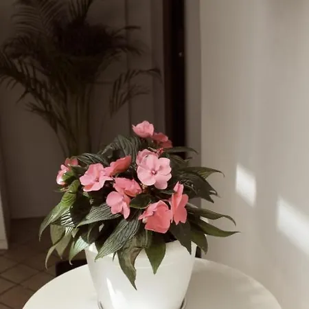 Magma Centotre Lejlighed