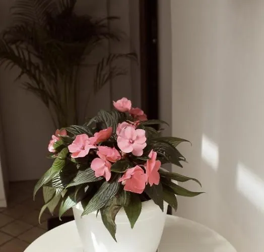 Magma Centotre Апартаменты